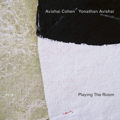 아비샤이 코헨 &amp; 요나단 아비샤이 Avishai Cohen &amp; Yonathan Avishai - Avishai Cohen Playing The Room (LP)