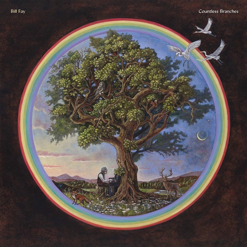 빌 페이 Bill Fay - Countless Branches (LP)