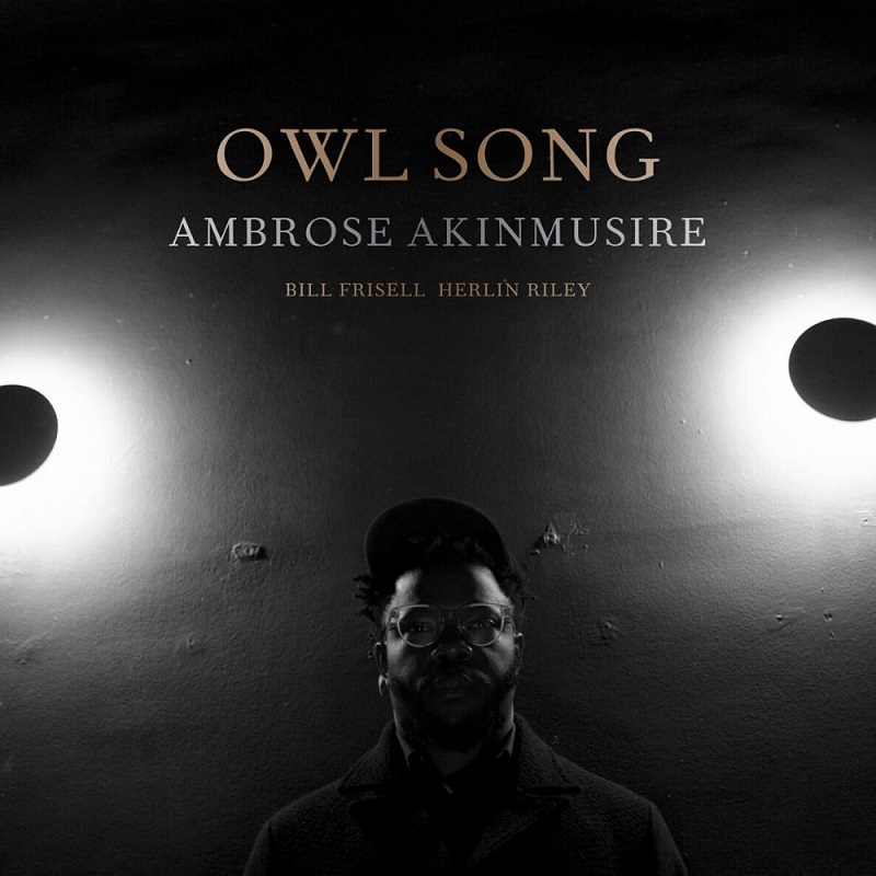 앰브로스 아킨무시리 Ambrose Akinmusire - Owl Song (LP)