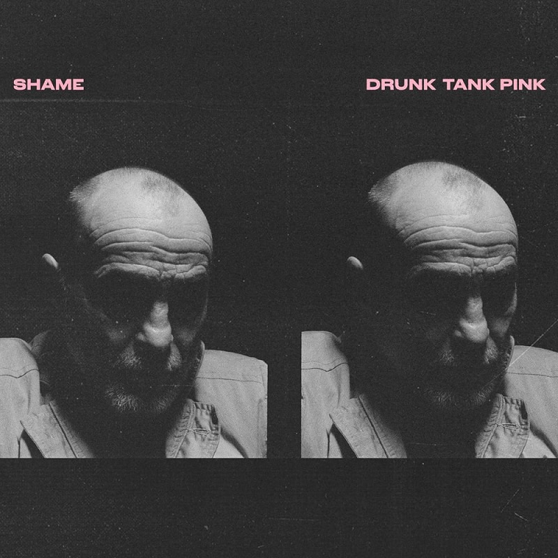 쉐임 Shame - Drunk Tank Pink (Opaque Pink LP)
